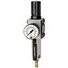 RIEGLER FU 6120-M-1 FUTURA - Regolatore di filtro con contenitore in metallo, tubo e manometro, completamente automatico, dimensione 4, 0,1-1 bar, G 3/4