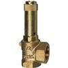 RIEGLER 105644-221.08-4,5 valvola di sicurezza angolare, liquidi, G 2, pressione di risposta 4,5 bar, 1 pezzo