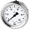 Riegler - Glicerina, conn. SKT posteriore Test céntrica. - 1/0,0 Bar F. vuoto