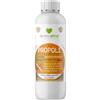 SYMBIOETHICAL - PROPOLI, Potenziatore Naturale della Difesa delle Piante, E G7it