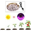 DC5V USB LED Grow, Full 2835 Strip per Lampada Da Coltivazione Indoor