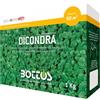 Bottos Semi per Prato Dicondra Kg 1