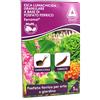 adama Esca Lumachicida Granulare a Base di Fosfato Ferrico Ferramol PFnPE 1kg