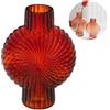 Avilia Vaso per Fiori e Decorazioni - Vaso per Arredamento Camera, Soggiorno e Cucina, in Vetro, 18.5x8.5x25cm, Rosso