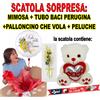 F.G.F. MIMOSA + PALLONCINO CHE VOLA ELIO + PELUCHE + BACI FESTA DELLA DONNA REGALO