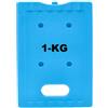 FABOSS FRIGO PORTATILE PASSIVO 10-25-30 LT TERMICO DA CAMPEGGIO SPIAGGIA TIPO GIO STYLE