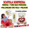MIMOSA + PALLONCINO CHE VOLA + PELUCHE + BACI PERUGINA FESTA DELLA DONNA REGALO
