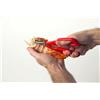 FACKELMANN FORBICE FORBICI PINZA INOX CROSTACEI ARAGOSTA GRANCHI ASTICE GAMBERI SCAMPI PROF