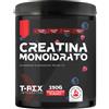 T-Rex Integratori Creatina Monoidrata Integratore Massa Muscolare (Frutti Di Bosco - 250 g)
