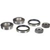 Triscan 8530 16212 - Kit Cuscinetto Ruota