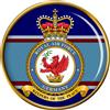 Giftshop UK Reale Air Force Germania Spilla