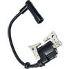 No Pacchetto Bobina di Accensione per Motori Robin EX13 EX17 EX21 Sostituisce2880