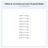 TeL e Aio Correttore per Clivia Supporto Stabloe Accessorio d and a