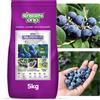 GREEN ORO ORO BILBERRY 5KG Fertilizzante speciale per mirtilli e piante acidofile