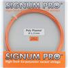 Signum Pro Poly Plasma 12,40 Mt - MartaShop