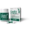 Innovet Condostress Supporto del metabolismo in Caso di osteoartrite per Cani Confezione