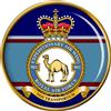 Giftshop UK 901 Corpo di Spedizione Aria Ali , Raf Spilla