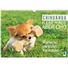 CALVENDO Chihuahua: Cani di piccola taglia ma oho (calendario da parete 2026 DIN A3 quer), Calvendo calendario mensile: Chihuahua: curioso, agile e sempre pronto per un'avventura (CALVENDO Animali)