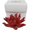 Generico RICCIO DI MARE rosso in porcellana 8x4 cm in scatola regalo BOMBONIERA 1GHO