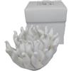 Generico RICCIO DI MARE bianco in porcellana con CANDELA 9.5x7 cm BOMBONIERA 1GHO