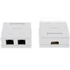 2x Cat6 Doppi Porte Doppie Superficie Superficie BOX BOX FACK PLATEWBOX Combo