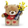 Lagicart FESTA DELLA DONNA 2026 Idea Regalo Peluche Borsetta Mimosa Baci Perugina Scatola