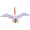 Nemesis Now Harry Potter Hedwig - Ornamento decorativo da appendere (13