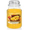 Yankee Candle Candela profumata in giara grande | Salsa di mango alla (B8O)