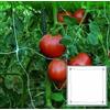 Vigor-Blinky Rete Plastica Per Rampicanti