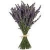 TooGet Fasci di Lavanda Naturali, Appena Raccolte 200 Steli Essiccati di Lavanda