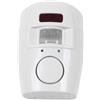 Eurowagens Casa Sicurezza Sistema di Allarme Rivelatore 2x Remoto Controller Pir Infrarossi