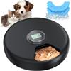 VKIMISS Distributore Automatico Cibo Gatti Umido Dispenser Crocchette Gatto Dosatore