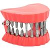 YWBL-WH Portapunte per Protesi per Dentiera Organizzatore a Forma di Dente con Punta da