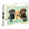 Clementoni-I Tre Labrador Puzzle, 1000 Pezzi, Multicolore, 39279