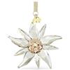 Swarovski 5651063 SCS Edizione Annuale Decorazione Stella Alpina 2023