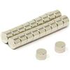 MAGNET Expert Ltd - Magneti a disco in neodimio N42, 6 x 4 mm, forza di