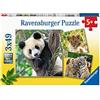 Ravensburger - Puzzles Panda, Tigre E Leone Confezioni Da 3 | Puzzle Bambini 5 A