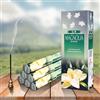 13 di Ilaria Incenso alla Magnolia - 20 Bastoncini Naturali | Profumo Floreale e Delicato | R