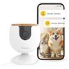 Furbo Mini Videocamera + Pacchetto Sicurezza Casa [PREMIUM CON ABBONAMENTO RICHI