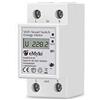 eMylo Smart Wifi Contatore elettrico Misuratore di energia monofase 35mm DIN Mis