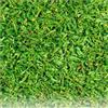 Germisem Prato Tropicale Kikuyu, Verde, 250g