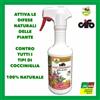 Cifo STOP COCCINIGLIA Olio Lino Insetticida biologico spray 500 ML