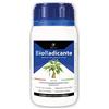 GebEarth® | Radicante per Talee In Polvere 100% Biologico, Stimola la Radicazion