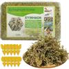 ZOYDP Sfagno per Orchidee, 500g Muschio per Orchidee, Sfagno per Piante