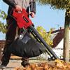Einhell Aspiratore Soffiatore per foglie elettrico GC-EL 3024 E 3000W