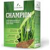 LERAVA CHAMPION semi prato (70m²) - festuca arundinacea di qualità - resistente