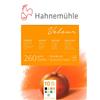 Hahnemühle Hahnemuhle : Velour - Carta per pastelli, 24 x 32 cm, 260 g/m²