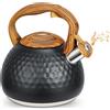BEZORR Bollitore a induzione, 3 l, bollitore a fischio, bollitore a gas, in