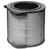 Electrolux Clean360 Filtro Particolato Fine Adatto PA91-404GY e PA91-404DG, Nylo