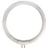 Velleman LAMP12/10 - Tubo fluorescente circolare T4 per VTLAMP10, 12W, (M3T)